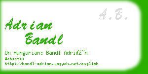 adrian bandl business card